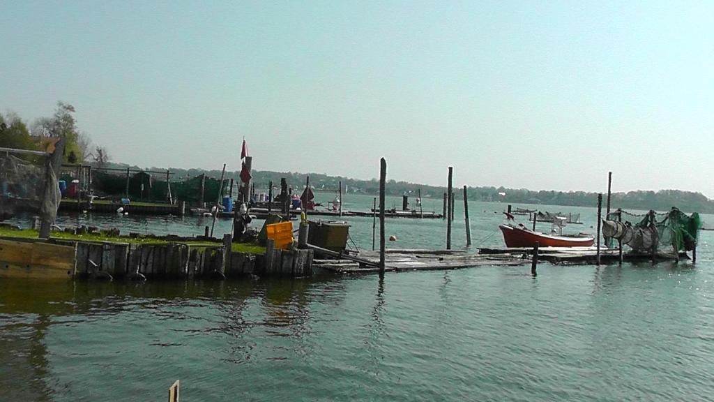 Domhotel Bed & Breakfast Schleswig Exterior foto